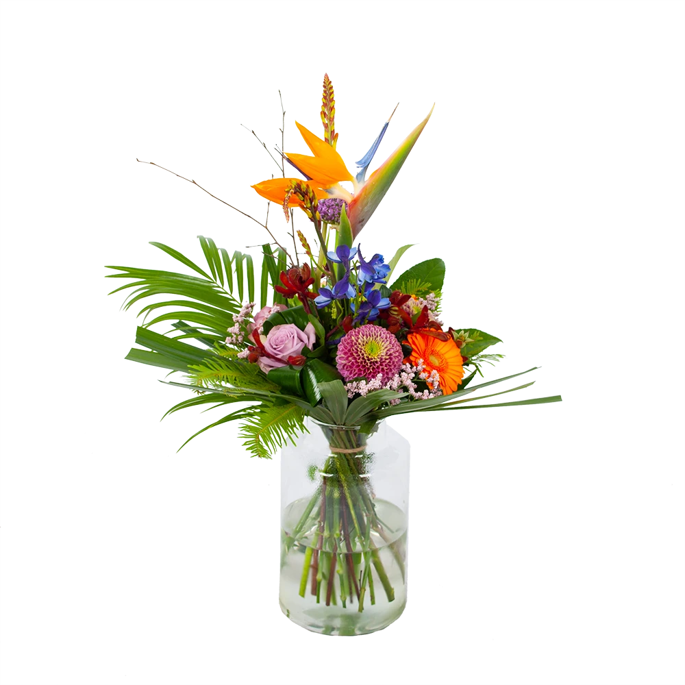 Boeket Deluxe Special Voor Jou Groot 1 Boeket Deluxe Special Voor Jou Groot