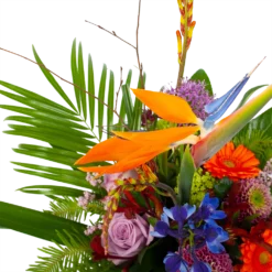 Boeket Deluxe Special Voor Jou Groot 7 Boeket Deluxe Special Voor Jou Groot -Tuin Magisch Verkoop boeket deluxe special voor jou boeketten 3