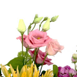 Boeket Eline Groot -Tuin Magisch Verkoop boeket eline boeketten 4 1