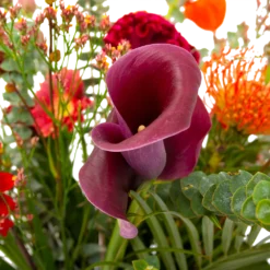 Boeket Herfst Warmte Klein -Tuin Magisch Verkoop boeket herfst warmte klein boeketten 4