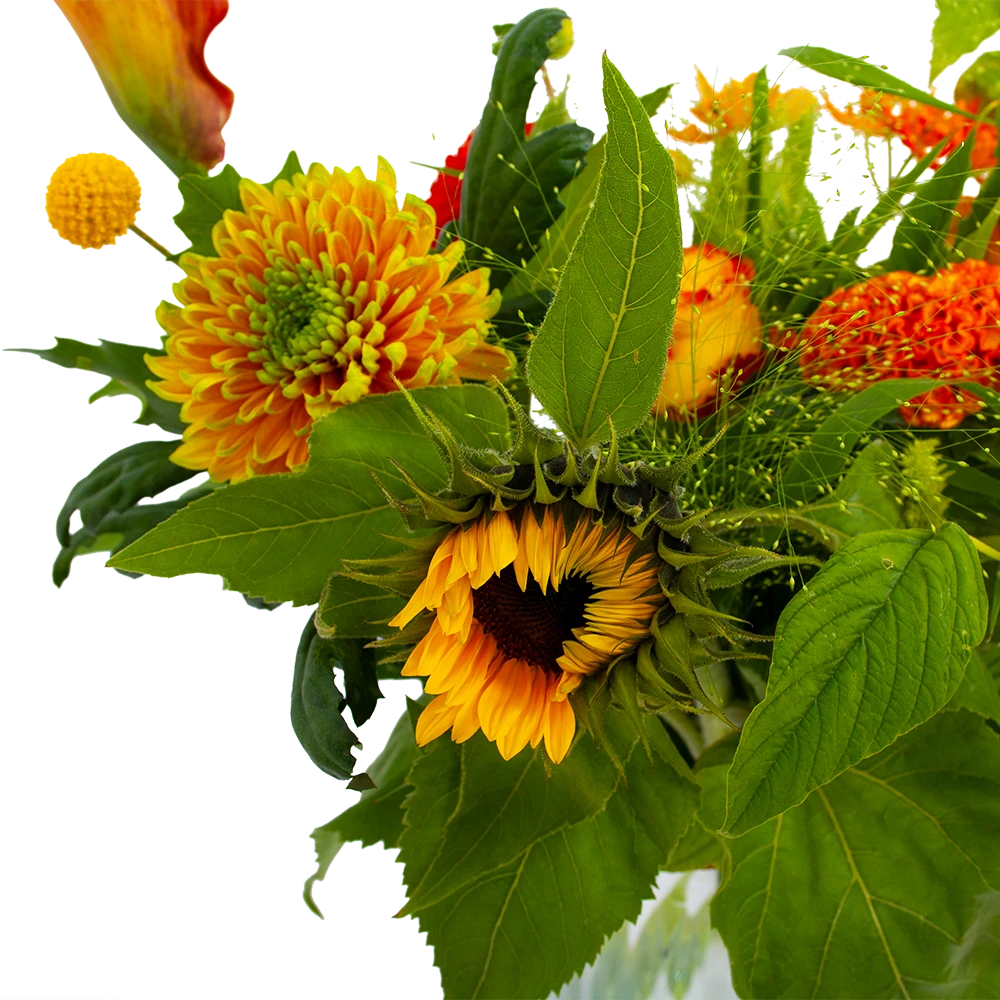 Boeket Herfst Uit Het Veld Klein 4 Boeket Herfst Uit Het Veld Klein - Afbeelding 4