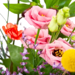 Boeket Kleurrijk Geplukt Klein -Tuin Magisch Verkoop boeket kleurrijk geplukt boeketten 3 1