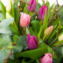Boeket Kleurrijke Tulp Klein -Tuin Magisch Verkoop boeket kleurrijke tulp boeketten 3 1