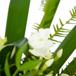 Boeket Liefdevolle Winter Klein -Tuin Magisch Verkoop boeket liefdevolle winter boeketten 3