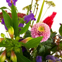 Boeket Paarse Passie Middel -Tuin Magisch Verkoop boeket paarse passie middel boeketten 4