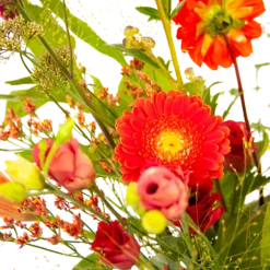 Boeket Plukgeluk Groot -Tuin Magisch Verkoop boeket plukgeluk groot boeketten 3