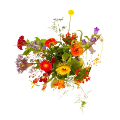 Boeket Plukgeluk Middel -Tuin Magisch Verkoop boeket plukgeluk middel boeketten 2