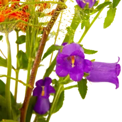 Boeket Plukgeluk Middel -Tuin Magisch Verkoop boeket plukgeluk middel boeketten 4