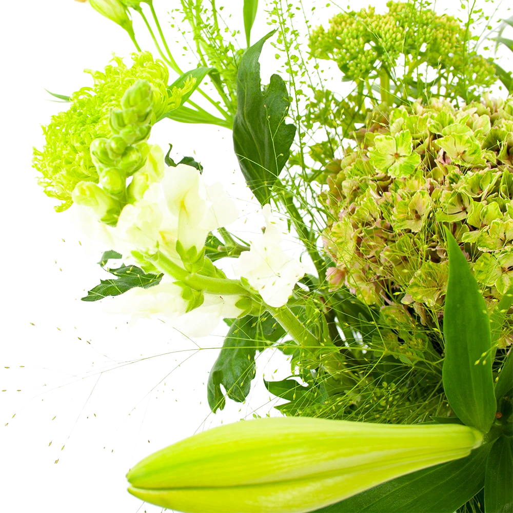 Boeket Puur Natuur Klein 3 Boeket Puur Natuur Klein - Afbeelding 3