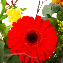 Boeket Speciale Verrassing Middel -Tuin Magisch Verkoop boeket speciale verrassing boeketten 3 2