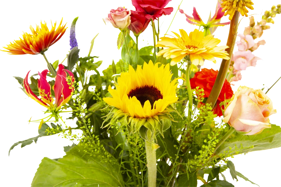 Boeket Vlinder Klein 3 Boeket Vlinder Klein - Afbeelding 3