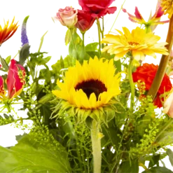 Boeket Vlinder Middel 8 Boeket Vlinder Middel -Tuin Magisch Verkoop boeket vlinder boeketten 3 3