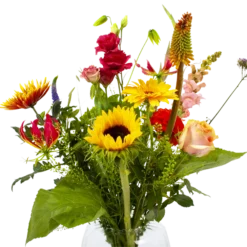 Boeket Vlinder Middel 9 Boeket Vlinder Middel -Tuin Magisch Verkoop boeket vlinder boeketten 4 3