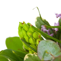 Boeket Vrolijk Seizoen Middel -Tuin Magisch Verkoop boeket vrolijk seizoen boeketten 3