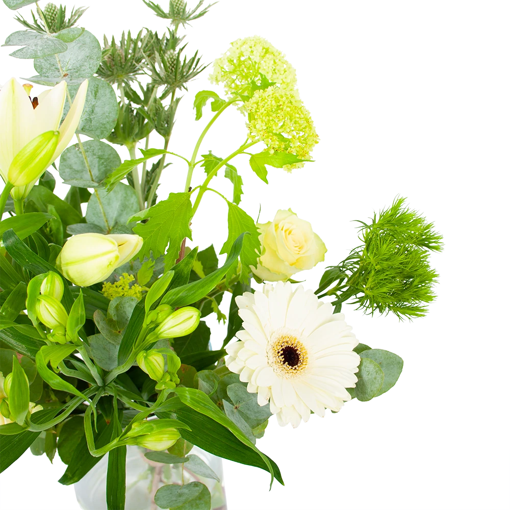 Boeket Wit Gebaar Middel 2 Boeket Wit Gebaar Middel - Afbeelding 2