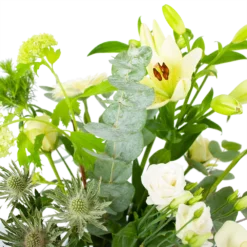 Boeket Wit Gebaar Klein 7 Boeket Wit Gebaar Klein -Tuin Magisch Verkoop boeket wit gebaar boeketten 3 2