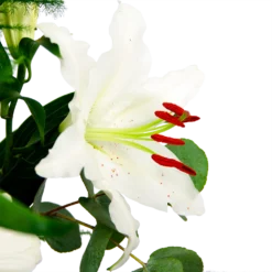 Boeket Witte Winter Groot -Tuin Magisch Verkoop boeket witte winter boeketten 4 1