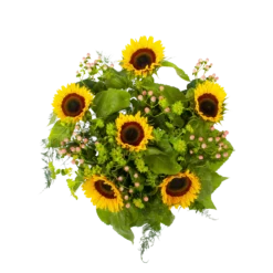 Boeket Zonnestraal Klein -Tuin Magisch Verkoop boeket zonnestraal boeketten 2 3 2