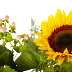 Boeket Zonnestraal Groot -Tuin Magisch Verkoop boeket zonnestraal boeketten 4 3