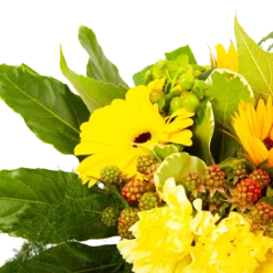 Boeket Zonnetje Groot -Tuin Magisch Verkoop boeket zonnetje boeketten 4 1 1