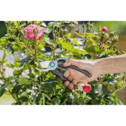 Ecoline Snoeischaar - Gardena -Tuin Magisch Verkoop ecoline snoeischaar gardena 3 1