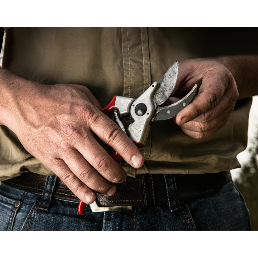 Professionele Felco 2 Snoeischaar Max 25 Mm - Felco 2 Professionele Felco 2 Snoeischaar Max 25 Mm - Felco - Afbeelding 2