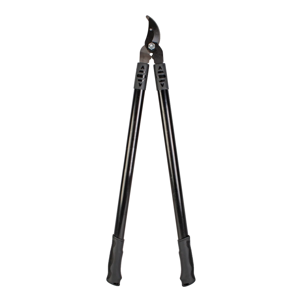 Takkenschaar Basic - TalenTools 1 Takkenschaar Basic - TalenTools